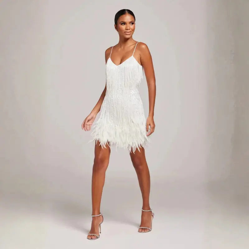 aura eye-catching women's fringe dress for parties and night out