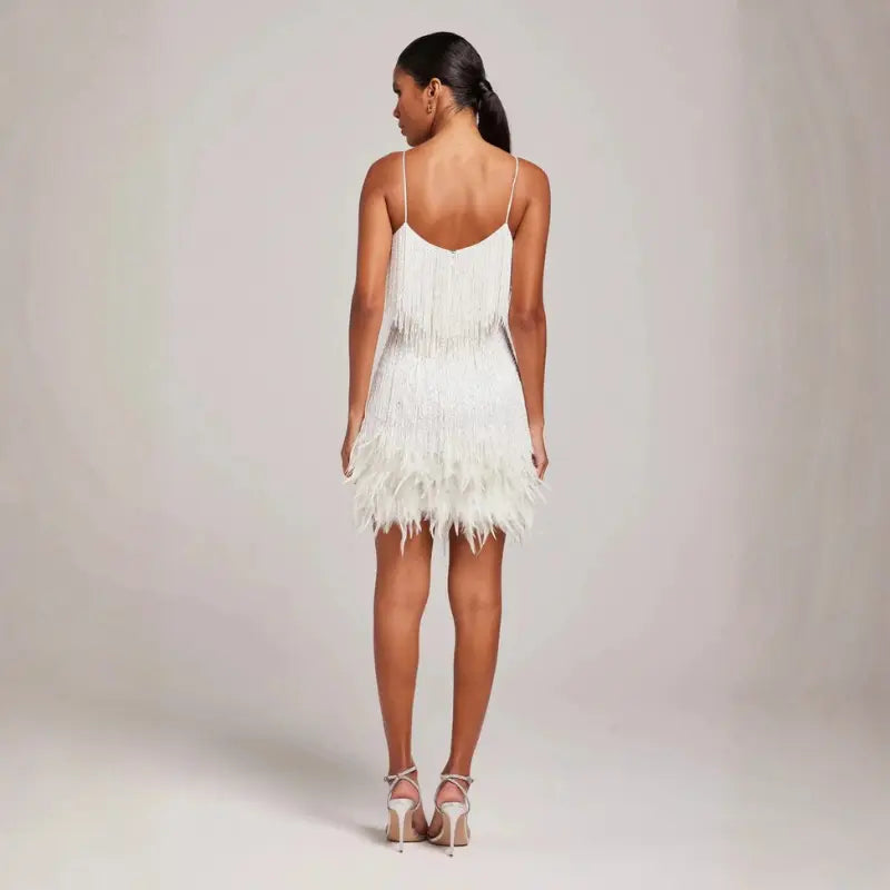 aura eye-catching women's fringe dress for parties and night out